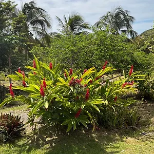 https://au-gr-des-alizs-kaz-soley-pyi.comcaribbean.com